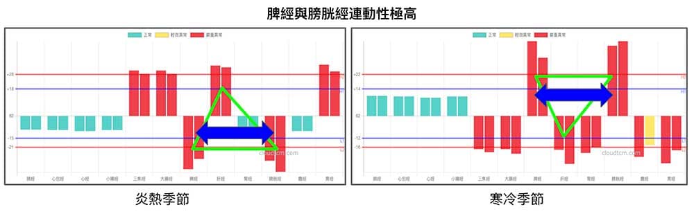 脾經與膀胱經能量具備高度連動性