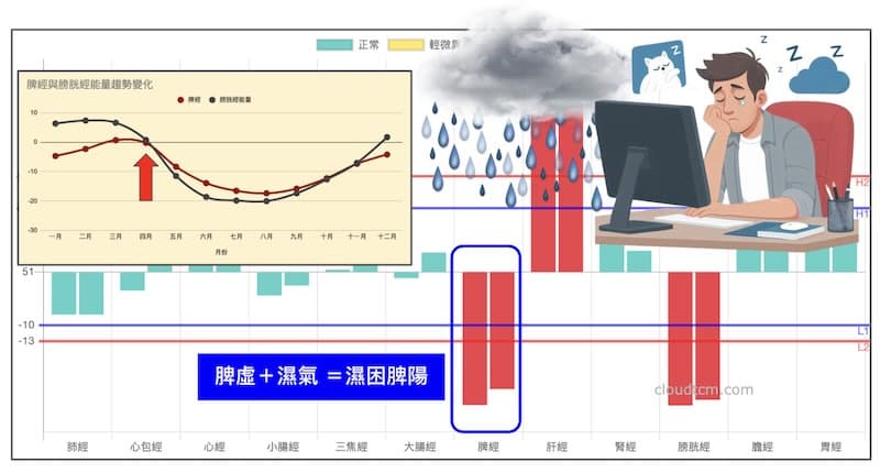 春夏季節會想睡的經絡,主要是脾經及膀胱經虛證