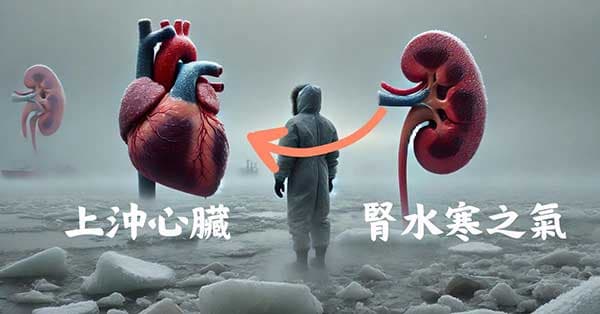 心陽不足,腎水寒之氣會上沖心臟