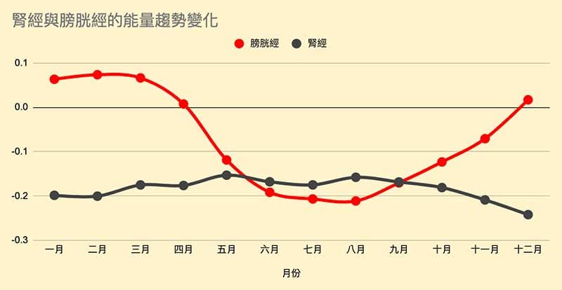 腎經與膀胱經的能量趨勢變化