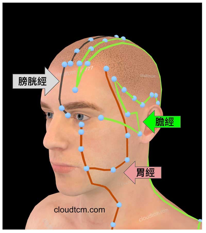脾經、胃經、膽經與膀胱經與腦部密切相關