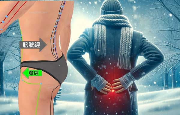 人體的腰痛主要受到膽經與膀胱經、督脈影響