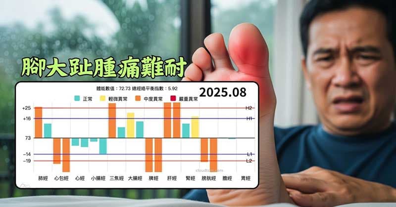 濕熱長夏出現腳大趾腫痛現象,運用三妙散速解