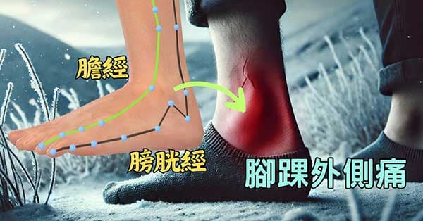 腳踝外側刺痛,源自於膽經與膀胱經氣血不足