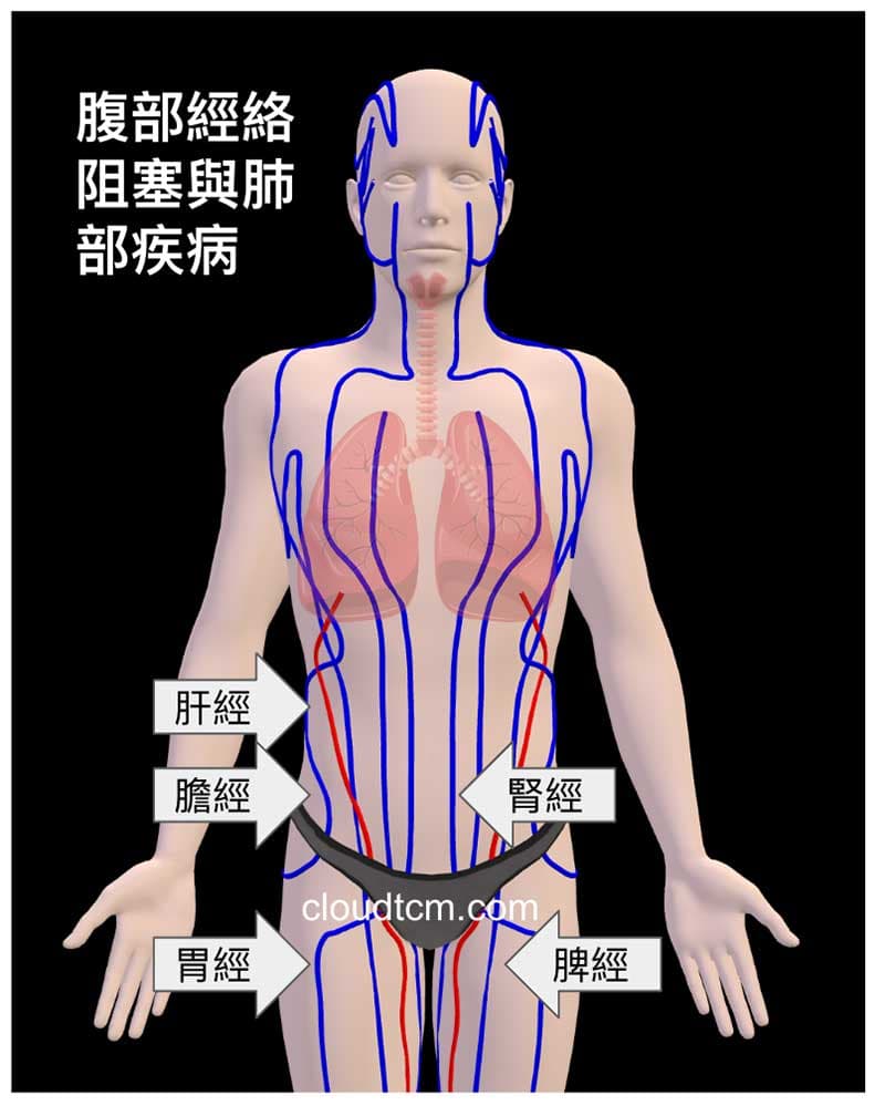 腹部經絡阻塞造成肺部疾病