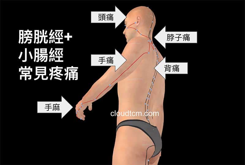 膀胱經+小腸經氣血不足出現的疼痛部位