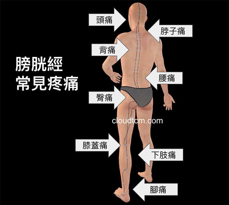 膀胱經氣血不足,經常出現的疼痛部位