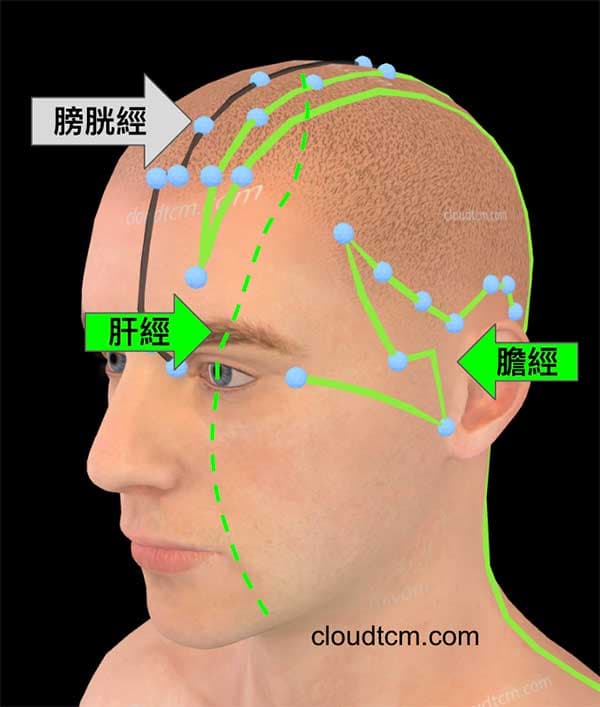 肝經連動膀胱經、膽經造成腦部疾病