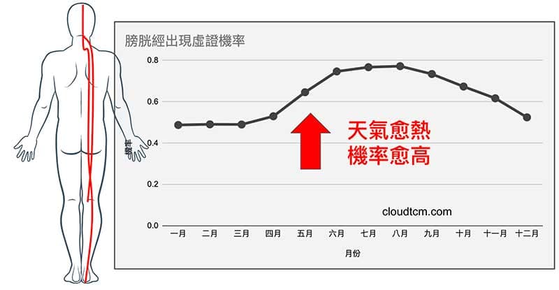 進入夏天之後,高比例的人膀胱經虛證
