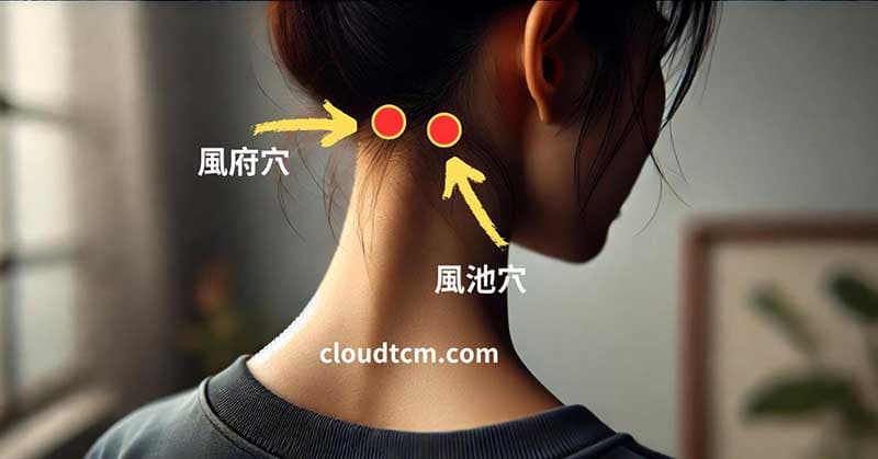 感冒很容易反應在風池穴、風府穴