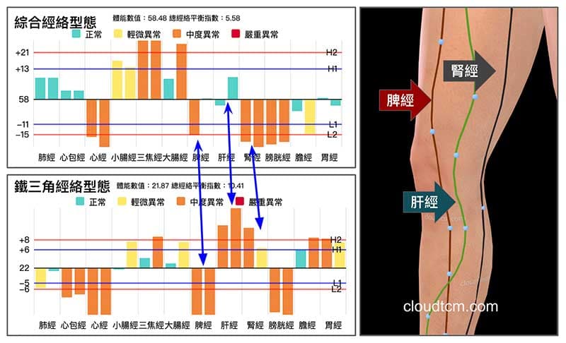 膝蓋內側痛的經絡型態