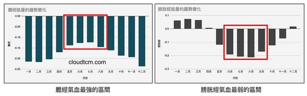 每年夏季是膽經強,膀胱經弱的區間
