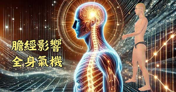 膽經影響全身的氣機,幾乎無所不包