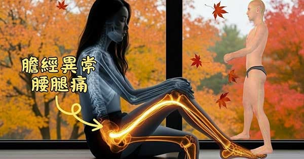 膽經與坐骨神經痛密切相關