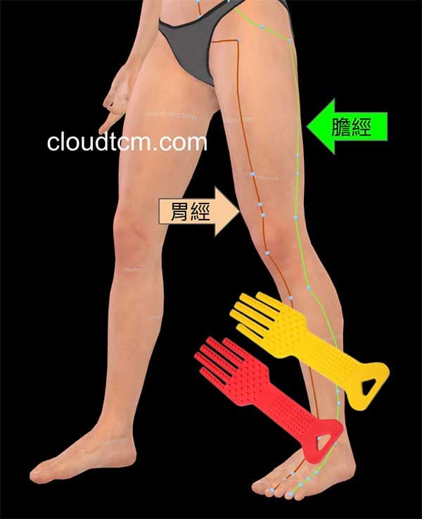 膽經與胃經都可以一起進行經絡拍打