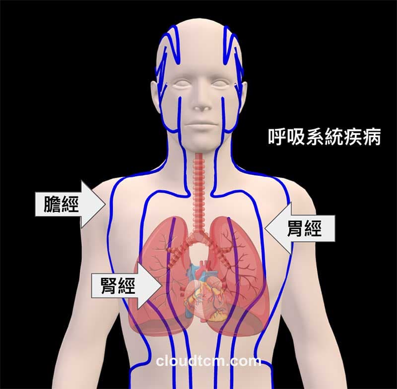 膽胃經虛證與呼吸系統的關係