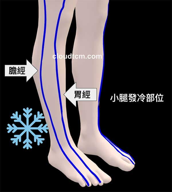 膽經與胃經虛證小腿發冷部位