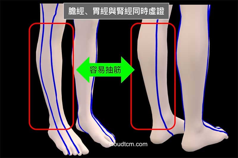 膽經、胃經與腎經虛證，小腿容易抽筋