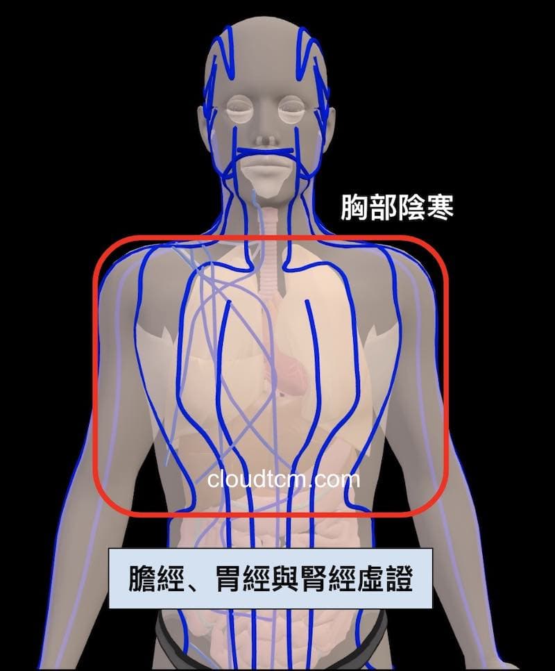 從3D理解膽經、胃經與腎經虛證的胸部狀態