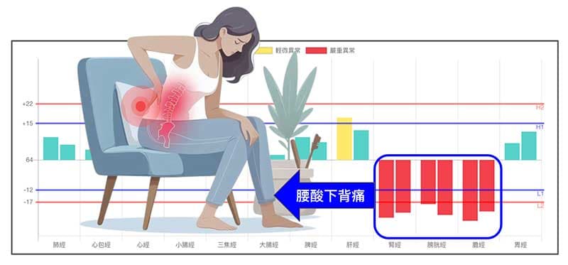 膀胱經、膽經與腎經是造成腰酸背痛的主要經絡