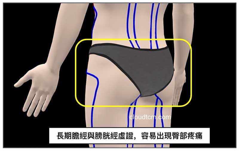 長期膽經與膀胱經虛證,很容易出現臀部疼痛