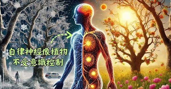 人體的自律神經像植物,完全不受意識控制
