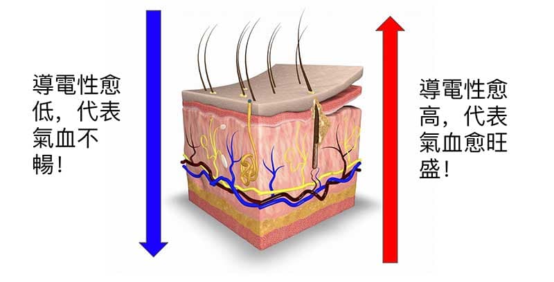 皮膚導電性高低，反應體內氣血狀態