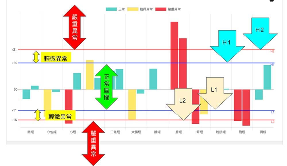良導絡判讀6: 如何看懂且判讀良導絡十二經絡圖?