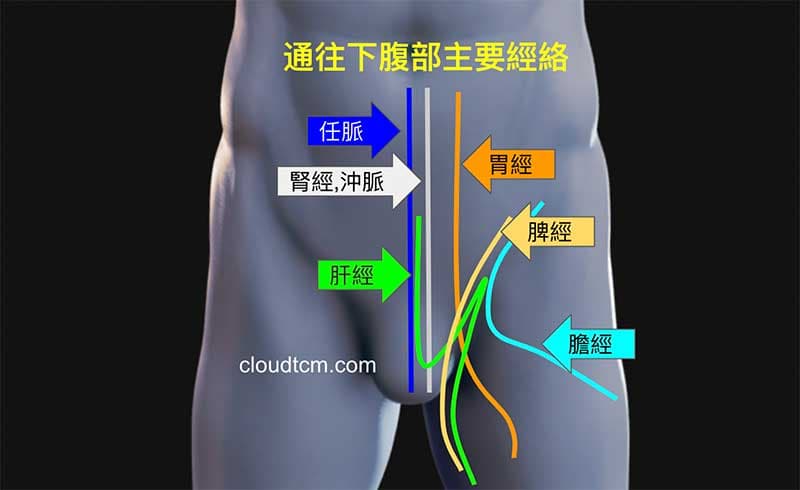 通往下腹部的經絡很多