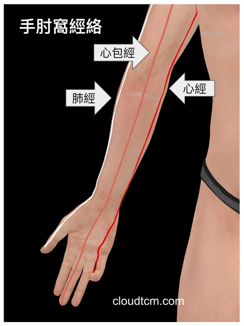 通往手肘窩的經絡