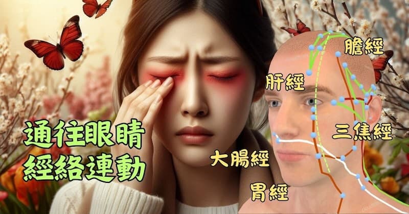 通往眼睛的經絡火熱連動,造成眼睛發癢