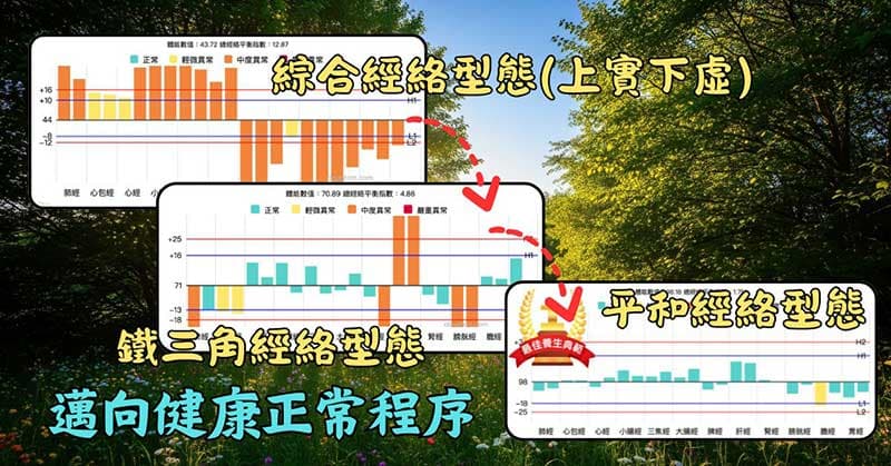 邁向經絡體質完全正常的程序階段