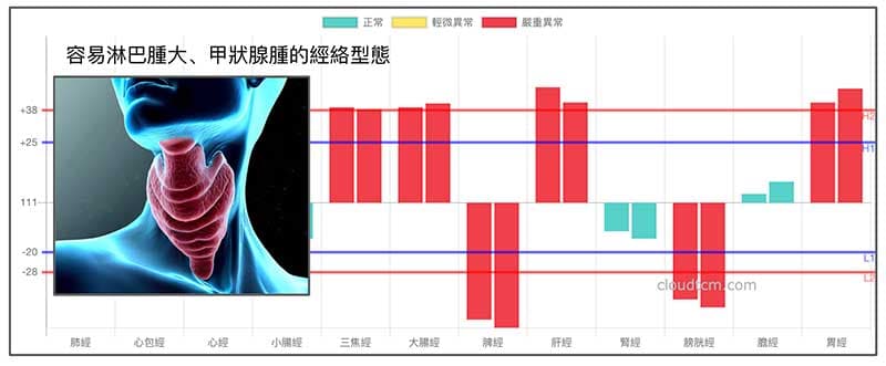 容易出現淋巴結腫大、甲狀腺亢進的經絡型態