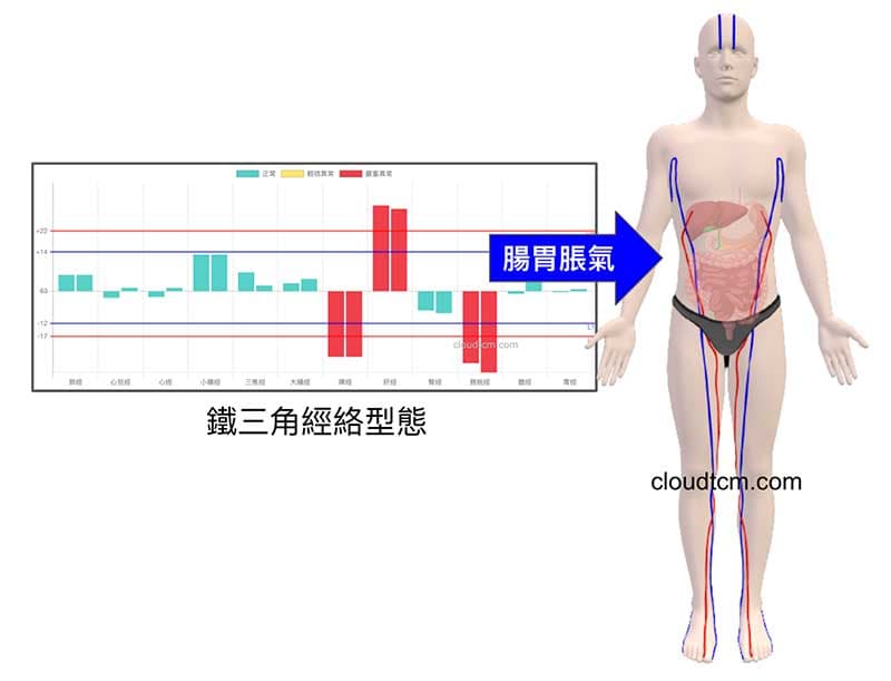 鐵三角經絡型態與脹氣的關係