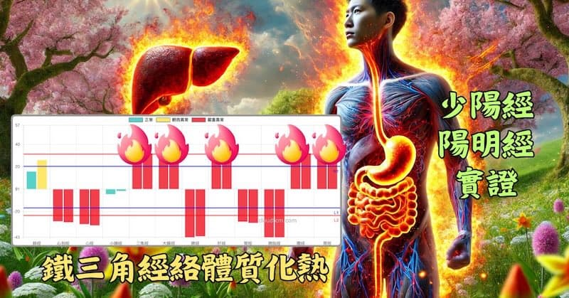 鐵三角經絡體質的人,確實體內很容易發熱