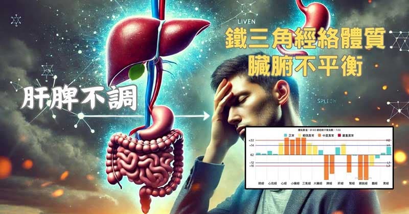 鐵三角經絡體質,體內長期肝脾不調
