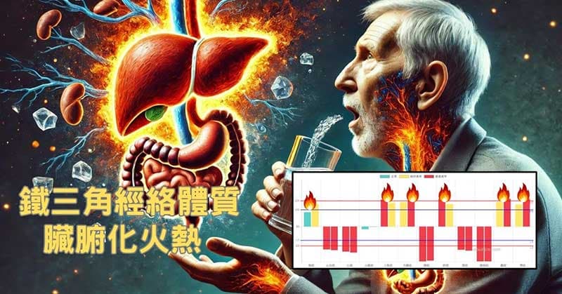 鐵三角經絡體質最終化為火熱狀態