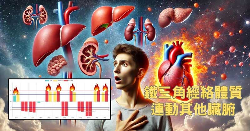 鐵三角經絡體質,最後會連動其他臟腑