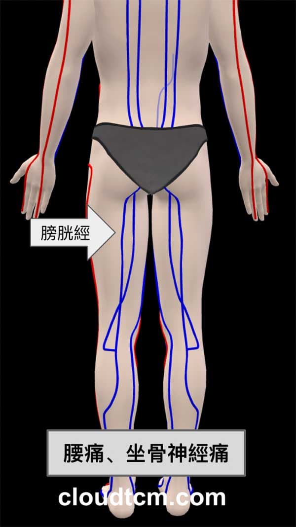 長期膀胱經虛證出現腰痛坐骨神經痛