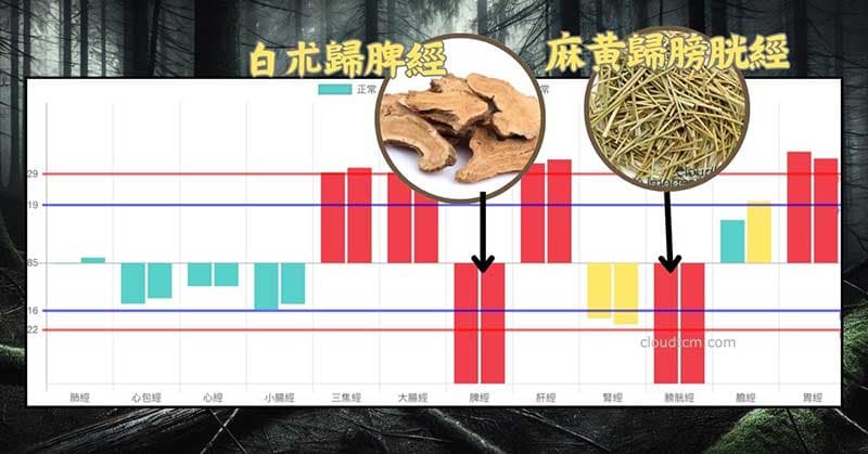 鐵三角經絡體質的麻黃+白朮藥對
