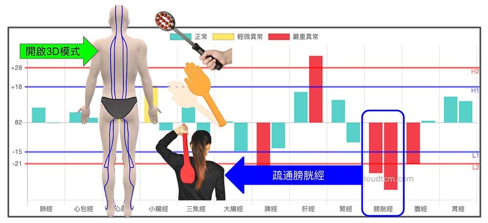 開啟3D模式，你就可以清楚知道要拍打膀胱經