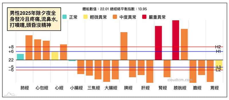 某會員除夕夜感冒發冷、流鼻水,呈現一派陽虛經絡型態
