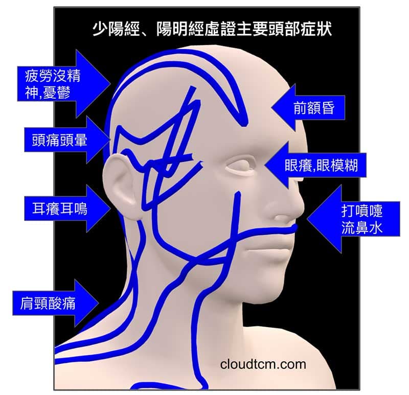 少陽經、陽明經虛證主要頭部症狀