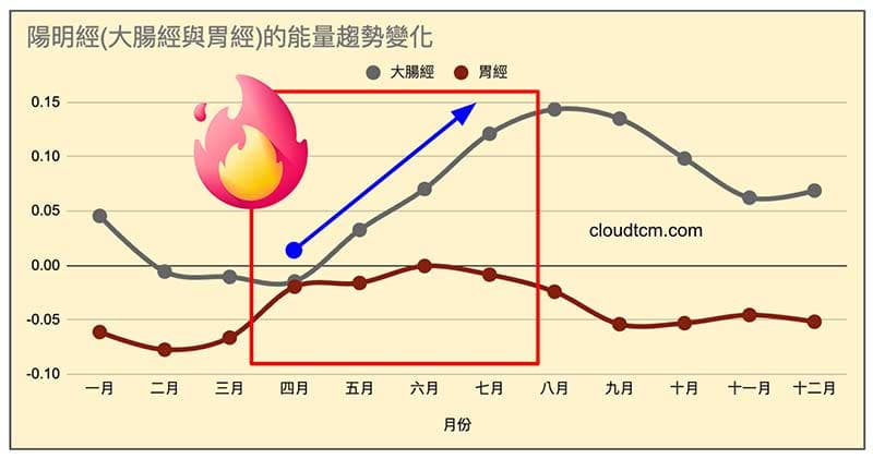 陽明經的能量趨勢變化