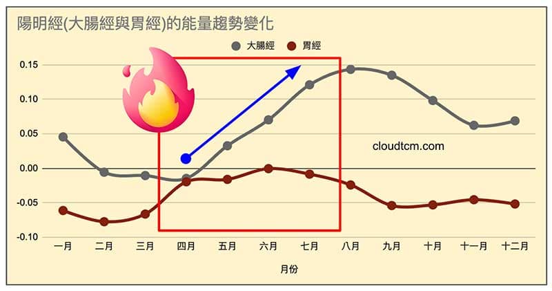 陽明經(大腸經與胃經)的能量趨勢變化