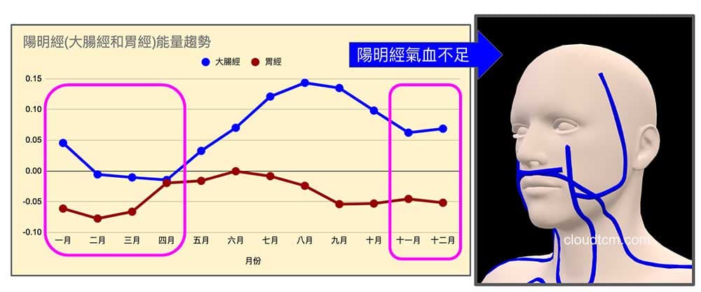 陽明經氣血不足時，提高出現顏面神經麻痺機率