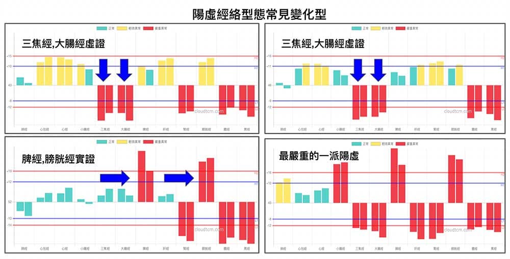 陽虛經絡型態常見變化類型