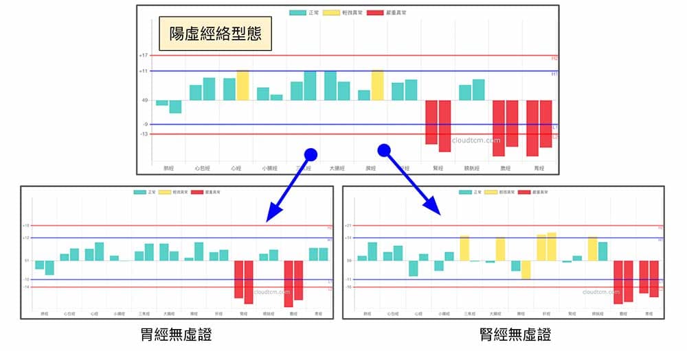 陽虛經絡型態的組成變化