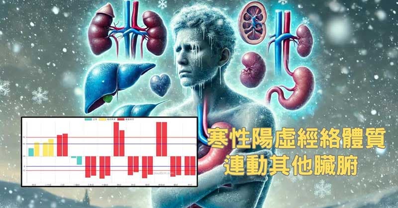 寒性陽虛經絡體質,最後會連動其他臟腑