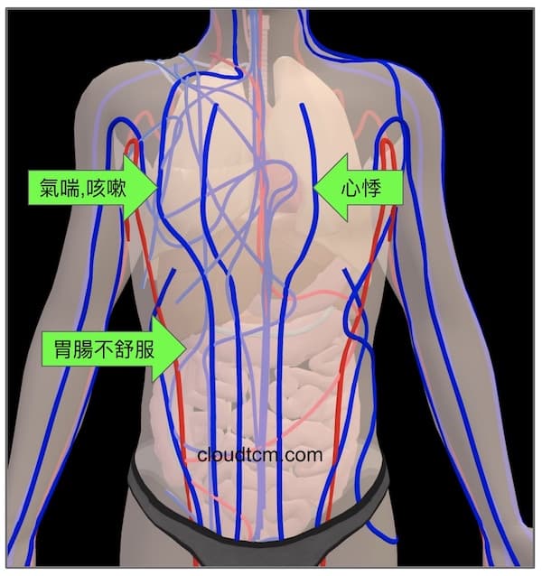 體內陽虛，通往胸部腹部的經絡呈現藍色